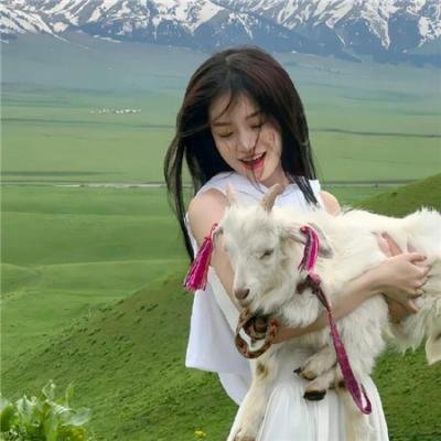 出柙猛虎 海报