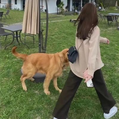 惊魂游戏 海报